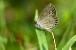 _MG_7868a