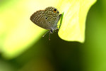 _MG_7872a