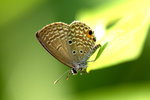 _MG_7881a