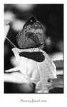 _MG_8054b