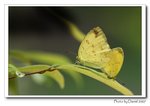 IMG_4779