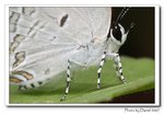 IMG_5038