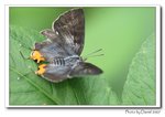 IMG_5054