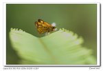 IMG_5002