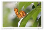 IMG_5021