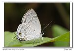 IMG_5036