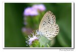 IMG_5116