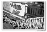 IMG_0009