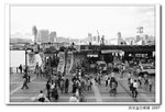 IMG_0055