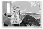 IMG_0074