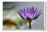 IMG_0158