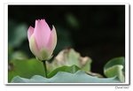 IMG_0170