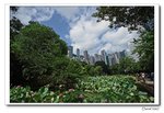 IMG_0173