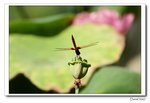 IMG_0197