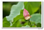 IMG_0224