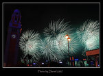 IMG_8740a