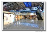 IMG_9931