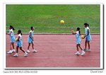 IMG_1064