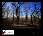 IMG_8260