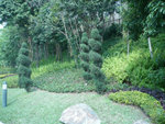 P1040352