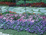 P1040371