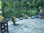 P1040380