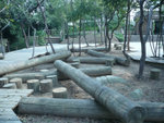 P1040383