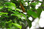 IMG_5323a