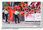 IMG_5561