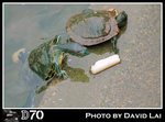DSC_0012_r1
