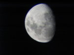 IMG_7559