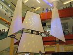 IMG_9487