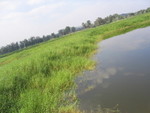 IMG_0426
