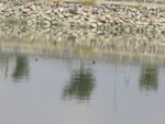 IMG_0432