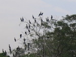 IMG_0439