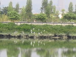 IMG_0444