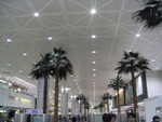 IMG09900