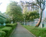 Image2008