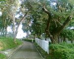 Image2009