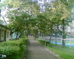 Image2019