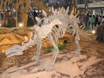 IMG_0587