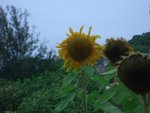 CIMG5183
