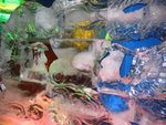 IMG_4708