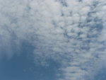 IMG_0138
