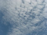 IMG_0139
