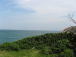 IMG_0170