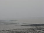 IMG_2534