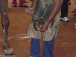 P1000481