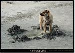DSCF3074