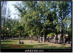 DSCF7053